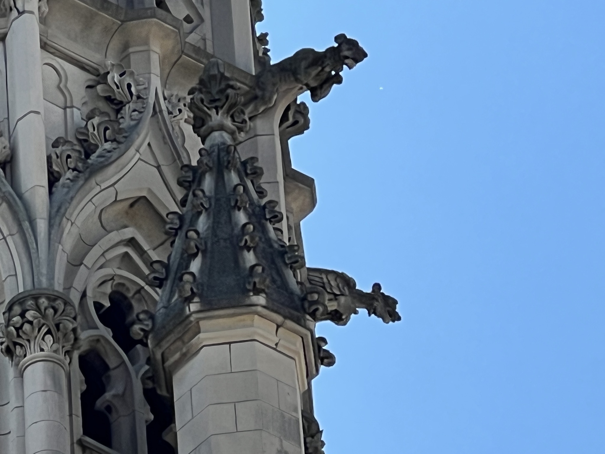 More of the building architecture.